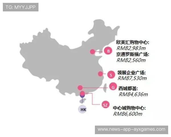 布鲁日高瞻远瞩：用资金筑牢防线核心，租借经验中卫布局未来