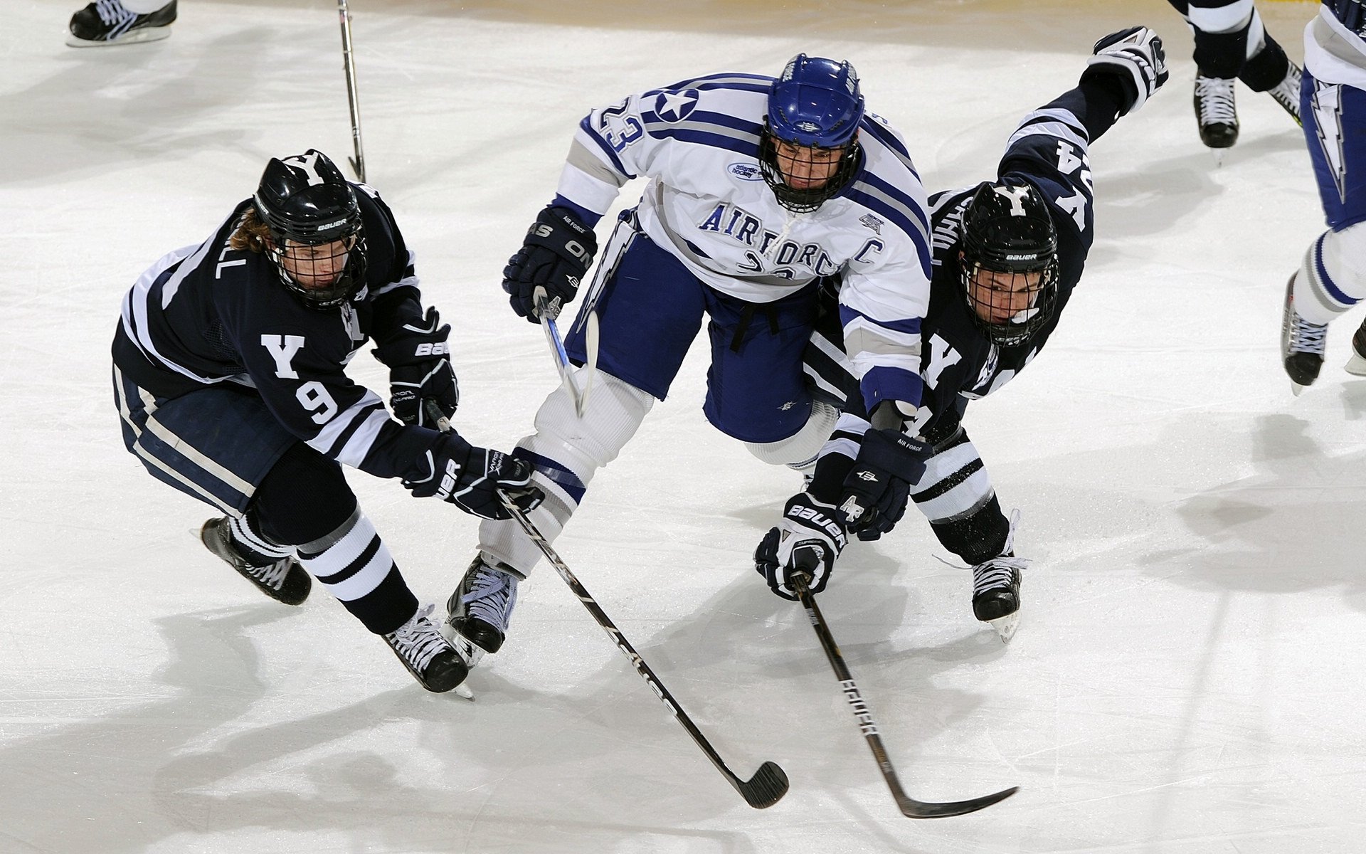 中国武术散打职业联赛加速推进 计划2026年上线全国转播