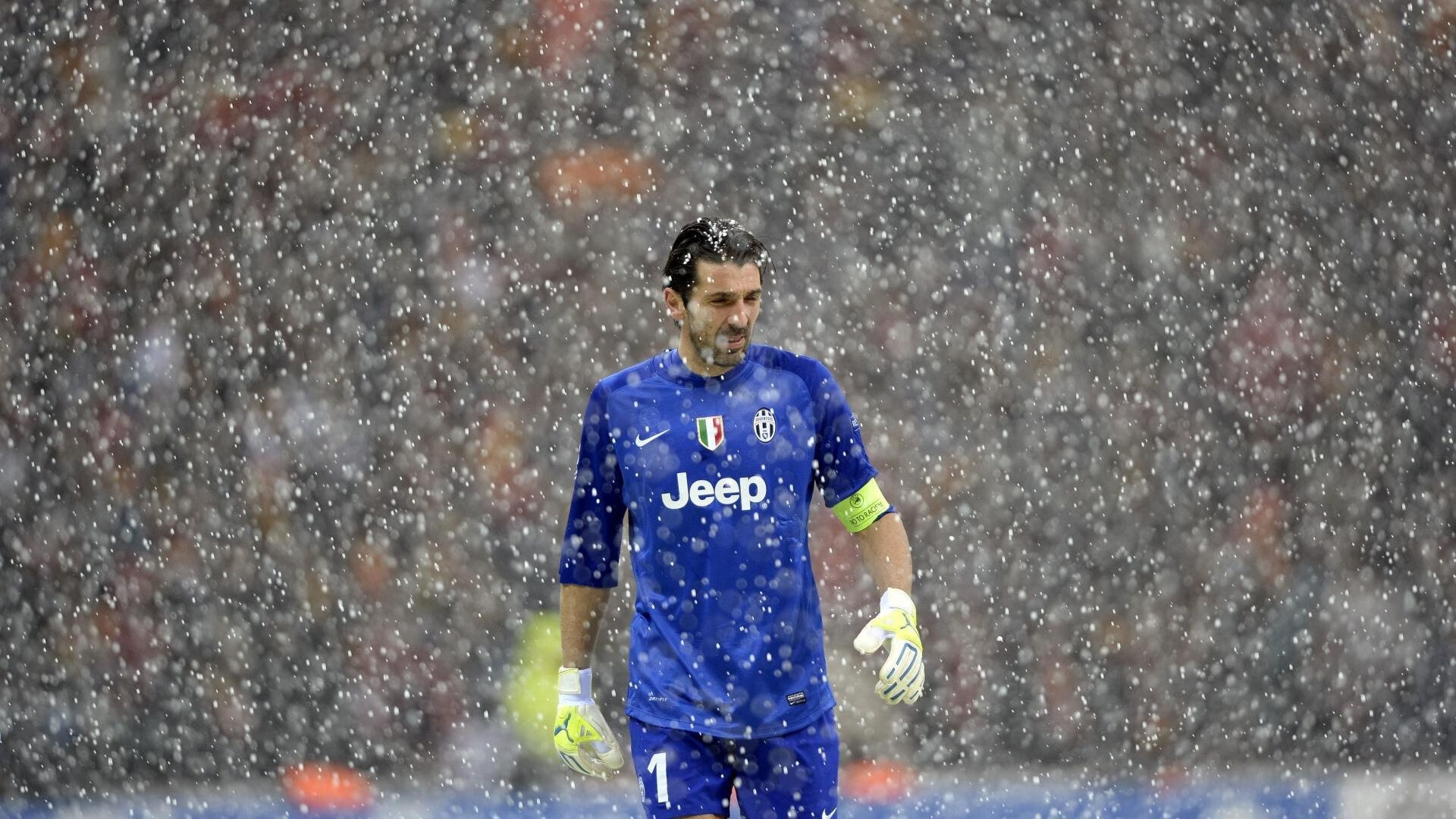 体育产业年度资本趋势