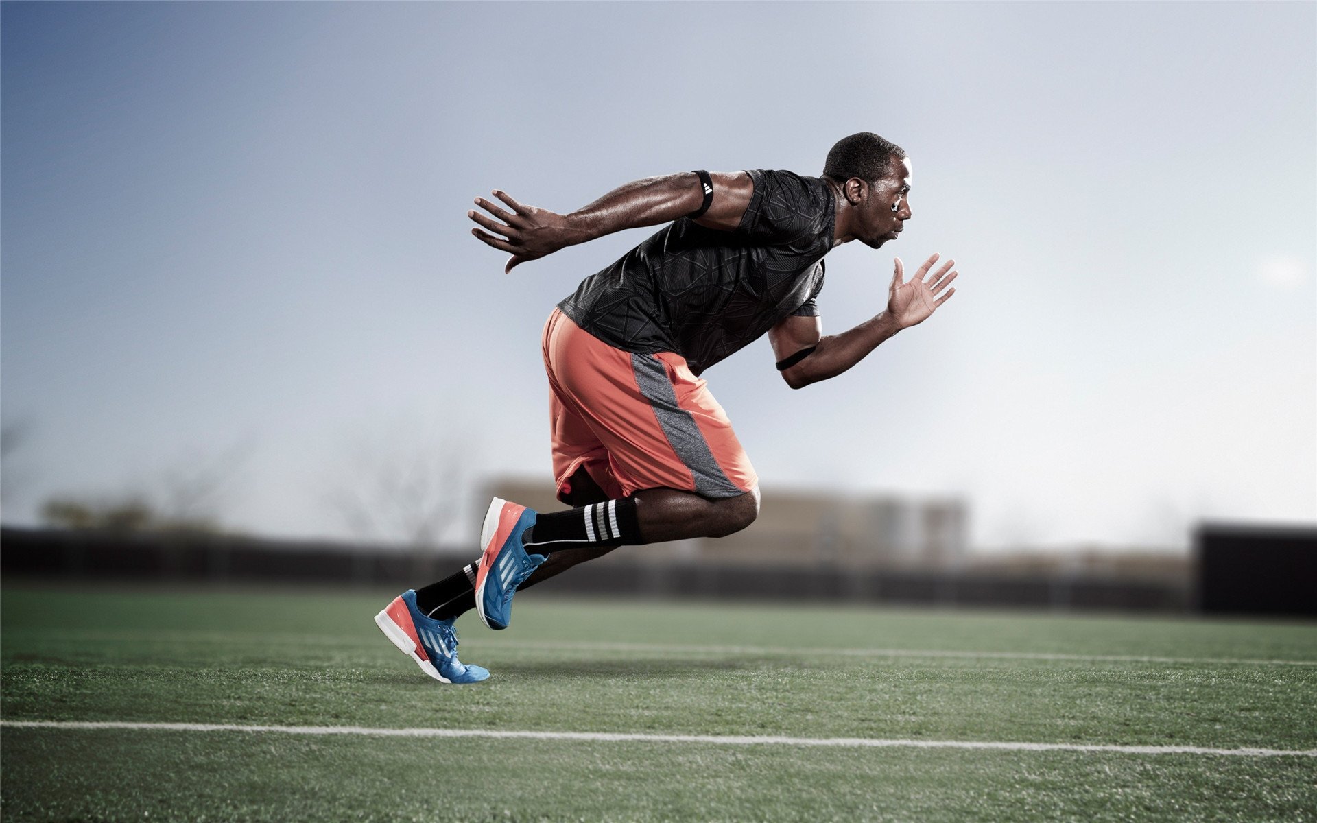 体育科研成果发布