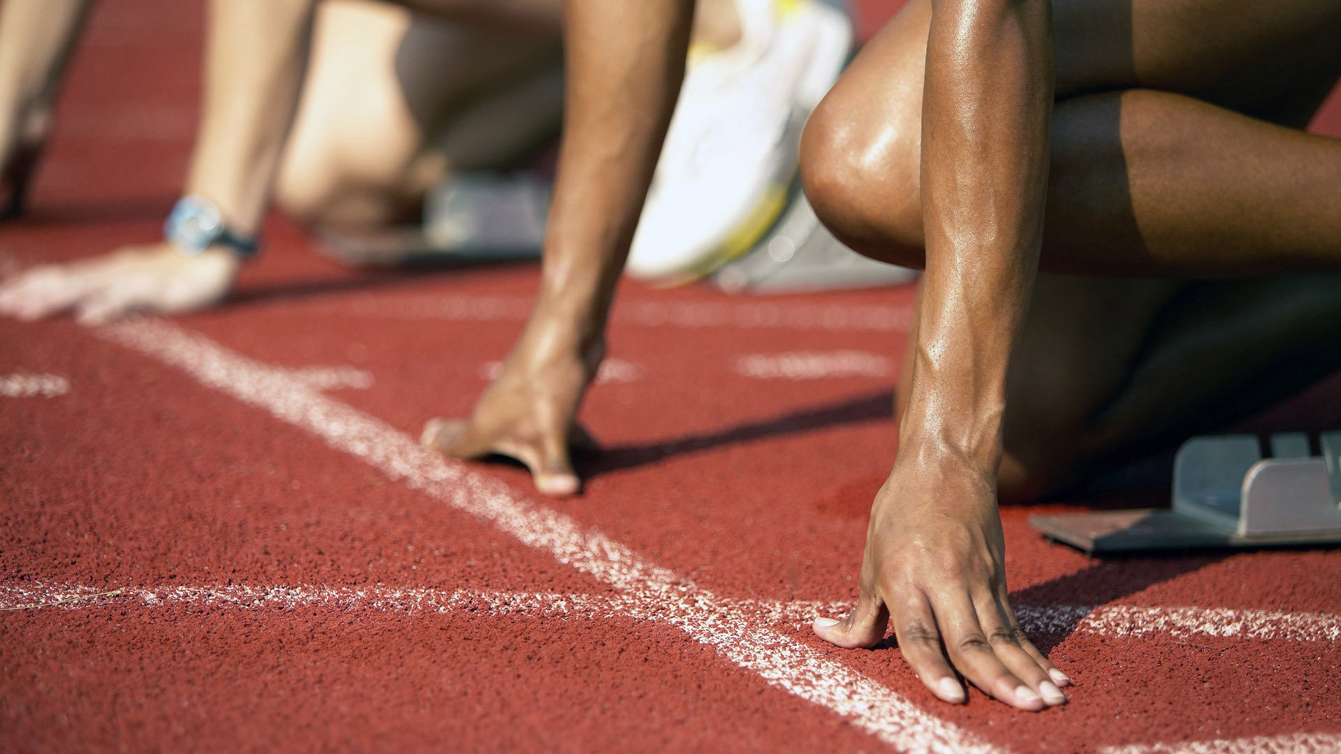 体育科研成果发布